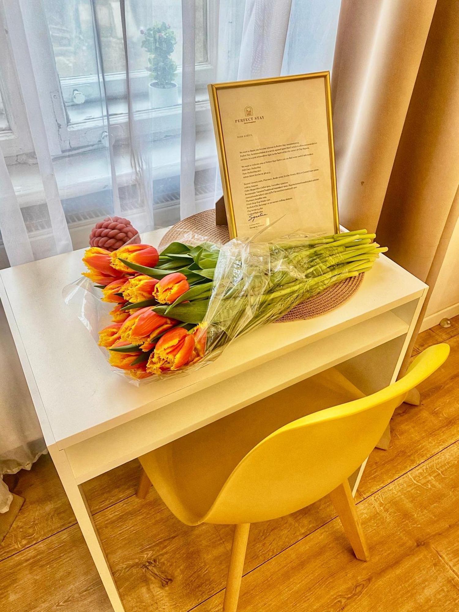 קלוז'-נאפוקה Perfect Stay מראה חיצוני תמונה